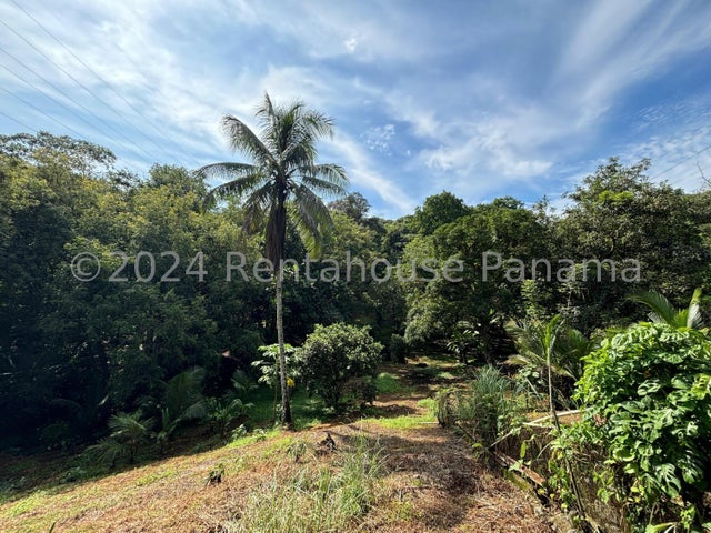 Exclusive Land for Rent